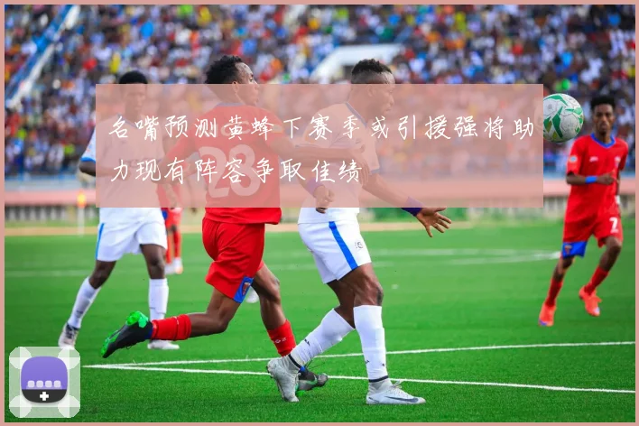 名嘴预测黄蜂下赛季或引援强将助力现有阵容争取佳绩