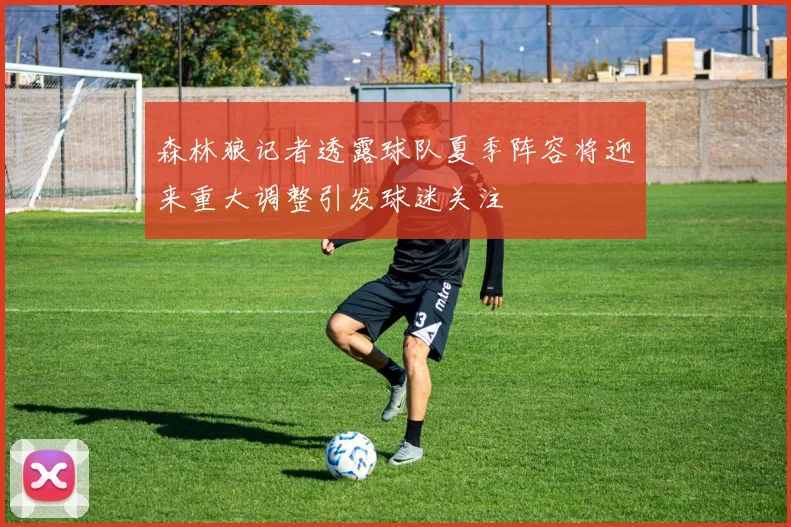 森林狼记者透露球队夏季阵容将迎来重大调整引发球迷关注